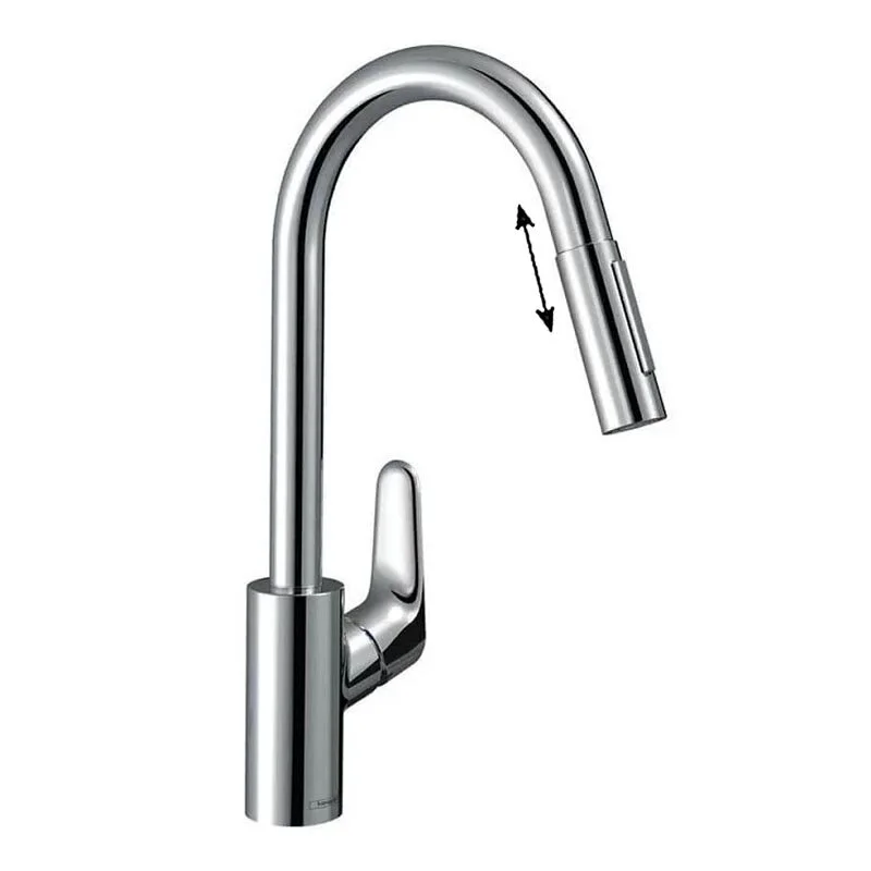 Смеситель с длинным изливом Hansgrohe Focus 31833000