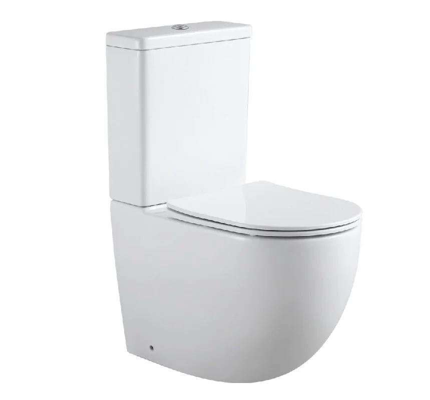 Напольный унитаз Aquanet Cetus 2.0 C1 LX-2903 (243538) безободковый с бачком 2-C-1 (243539) с крышкой-сиденьем Soft Close - Slimseat