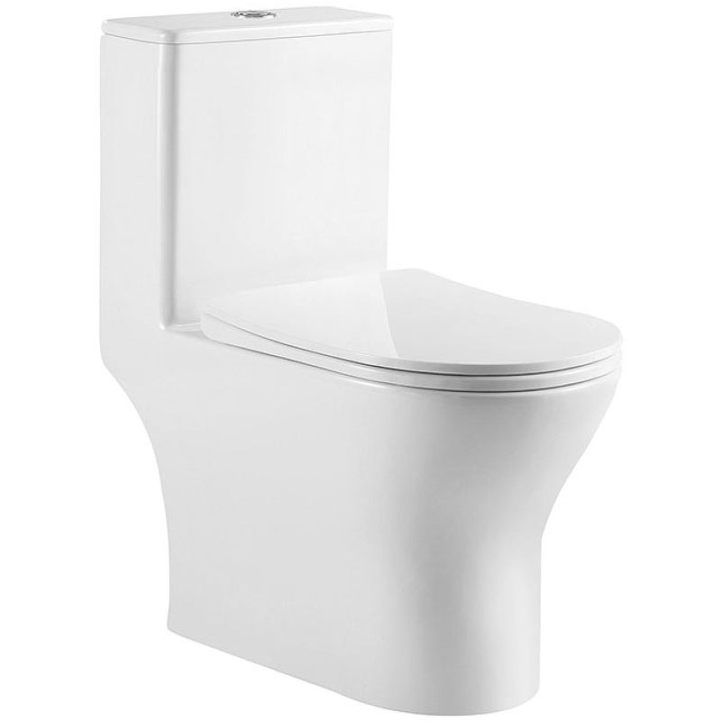 Унитаз с микролифтом BelBagno Lounge BB8618CPR-MN/SC