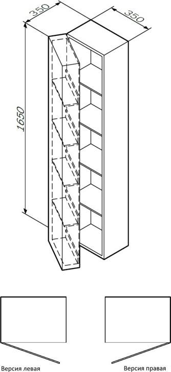 Шкаф-колонна подвесной Am.Pm Spirit 2.0 M70ACHR0356DM