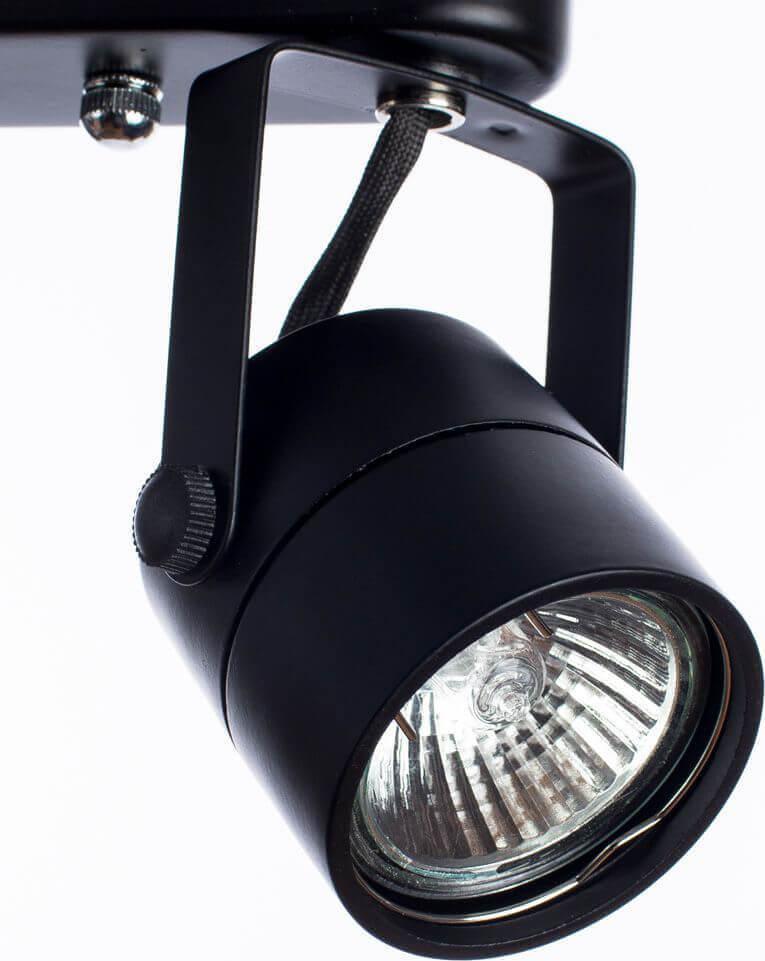 Спот Arte Lamp Lente A1310PL-2BK