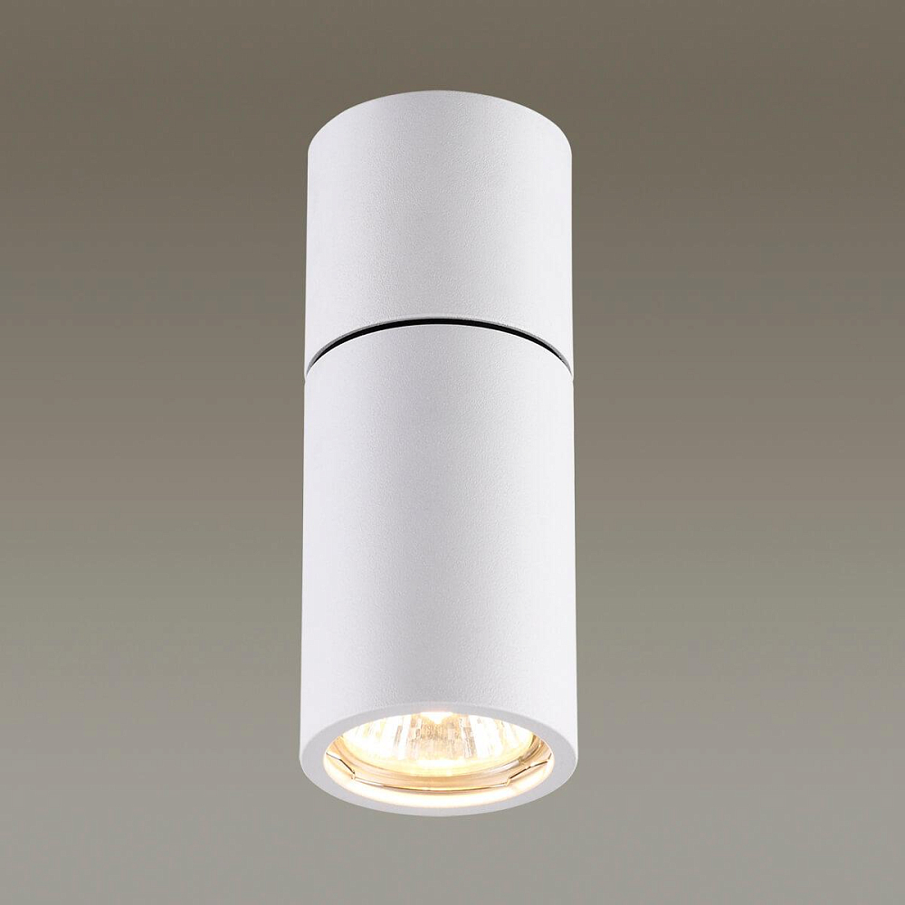 Потолочный светильник Odeon Light Duetta 3582/1C