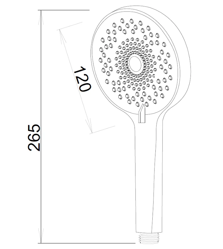 Душевая лейка Esko SSP120 хром