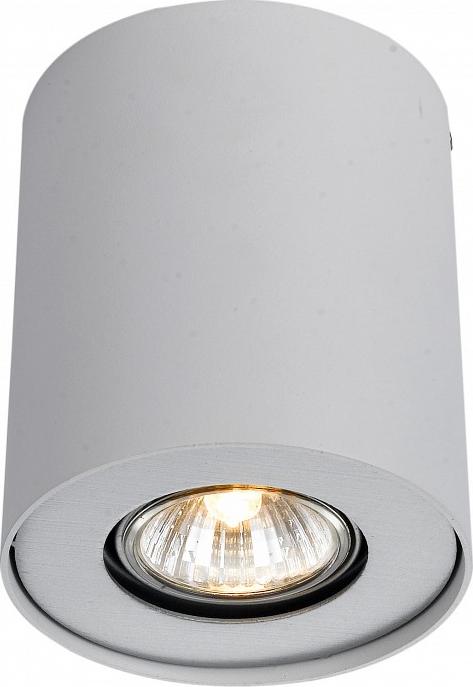 Накладные светильники Arte Lamp Falcon A5633PL-1WH