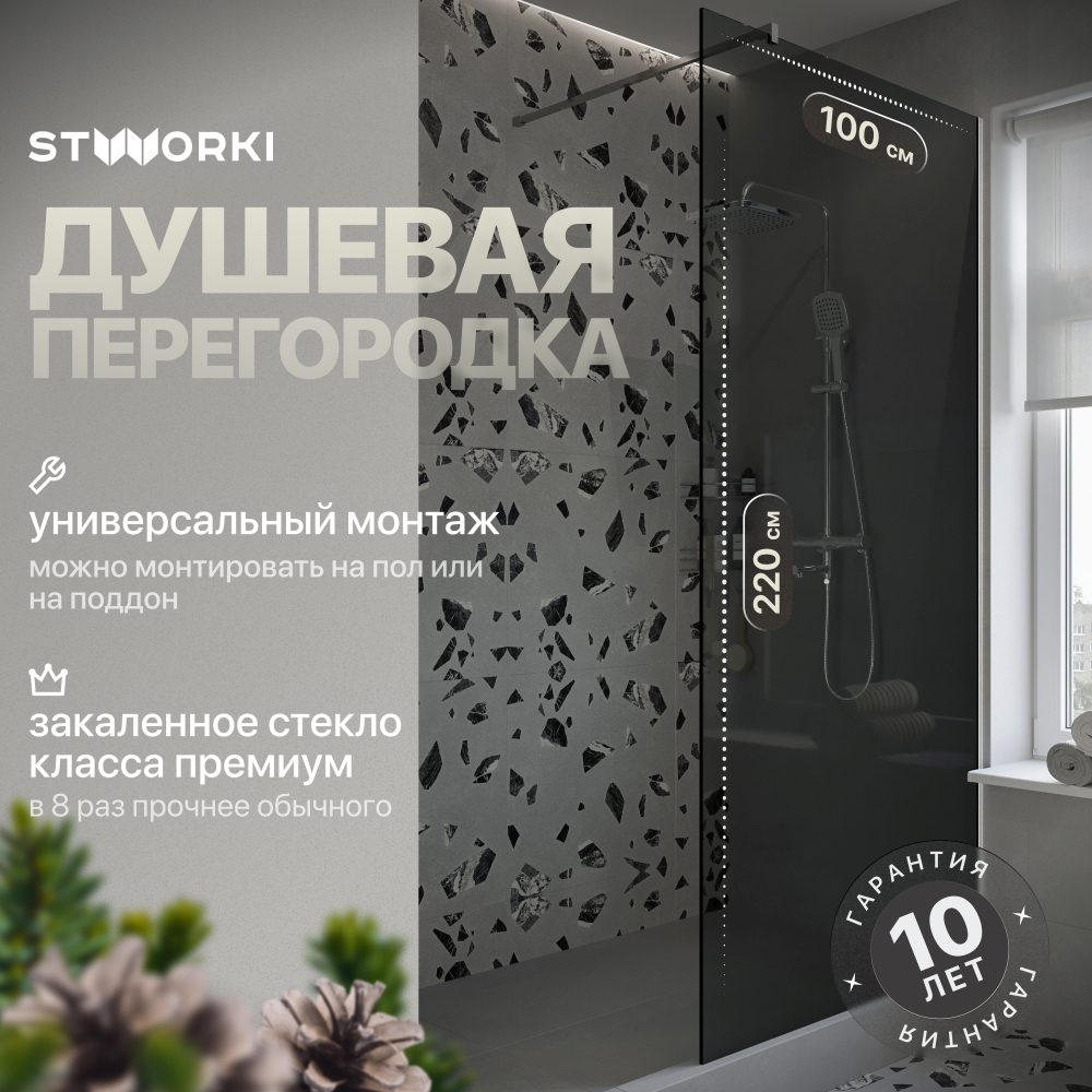 Душевая перегородка 100x220 см STWORKI Берген MV-BE-100-CR-T