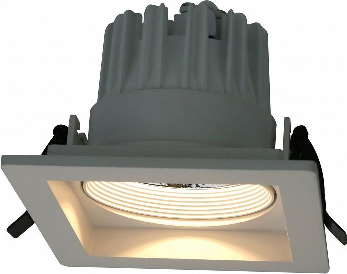 Встраиваемые светильники Arte Lamp Privato A7018PL-1WH