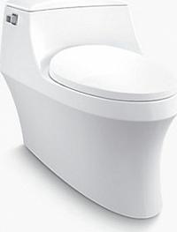 Унитаз-моноблок Kohler San Raphael Grande 8688T-S-0 с монтажным комплектом