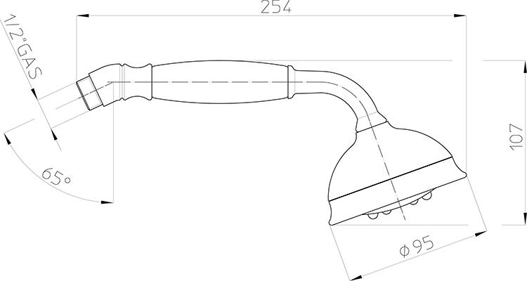 Душевая лейка Bossini Roman B00586 BR