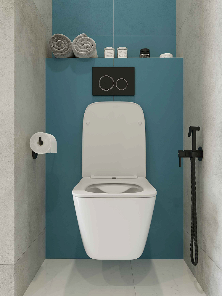 Комплект Duravit DuraSystem WD1011000000 с подвесным унитазом San More Ispirare SMT971902 с сиденьем микролифт