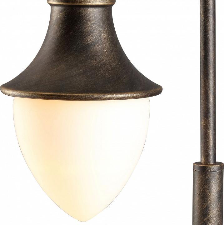 Наземные высокие светильники Arte Lamp Vienna A1317PA-1BN