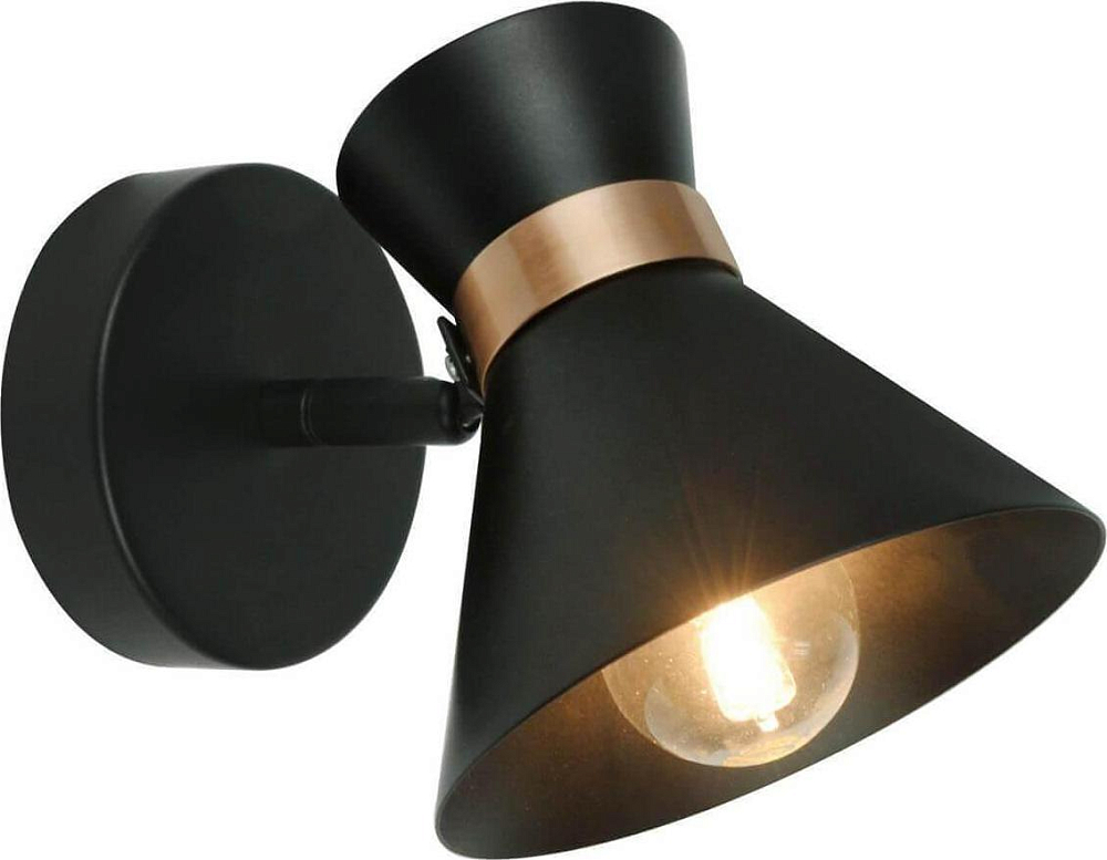 Спот Arte Lamp Baltimore A1406AP-1BK