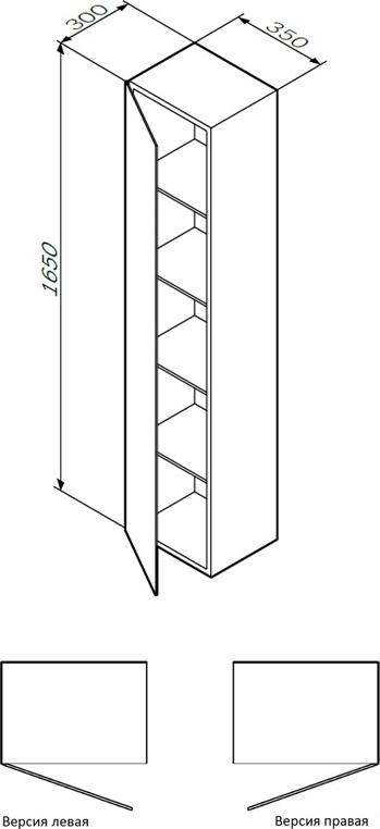 Шкаф-колонна подвесной Am.Pm Spirit 2.0 M70ACHMR0356DM