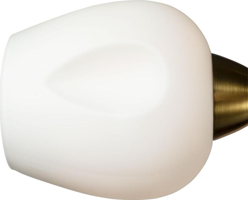 Потолочная люстра Arte Lamp Brighton A2706PL-5CK