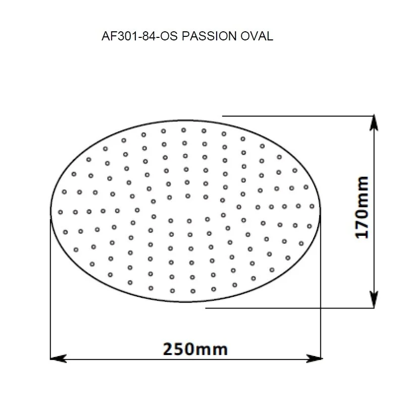 Душ верхний Aquanet Passion 242984 хром