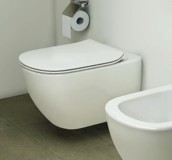 Крышка-сиденье Ideal Standard Tesi T352701 с микролифтом петли хром