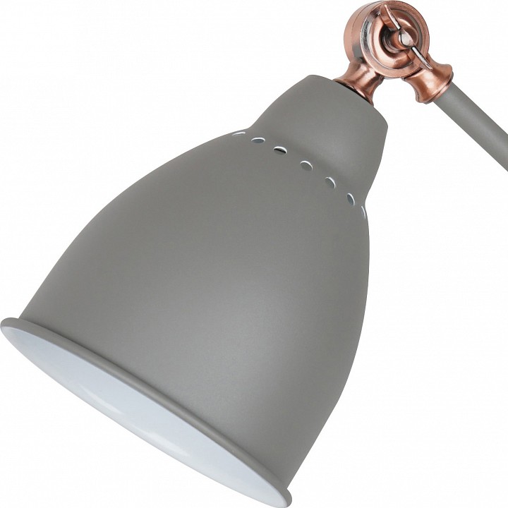 Спот Arte Lamp Braccio A2054AP-1GY