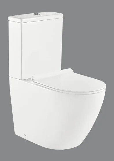 Напольный безободковый унитаз BelBagno BB2141CPR/BB2141T