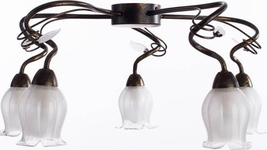 Потолочная люстра Arte Lamp 83 A7449PL-5BR