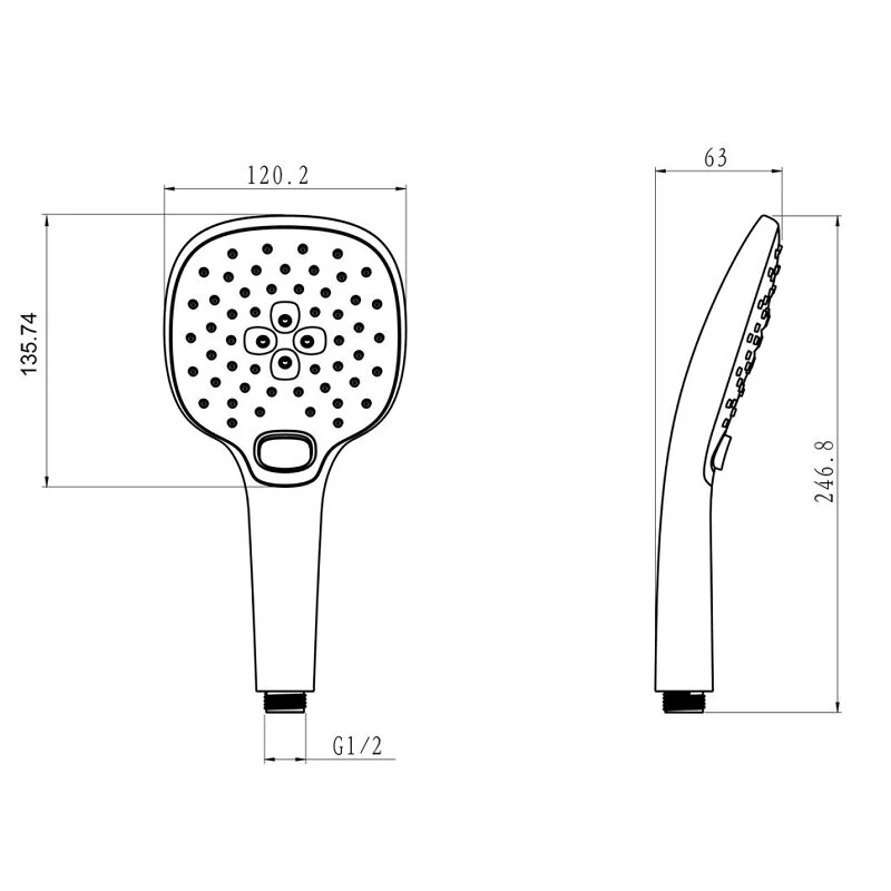 Душевая лейка Paini Pescara PSCR155F3D120 хром