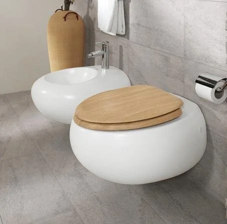 Подвесной унитаз Villeroy&Boch Pure Stone 5670 10