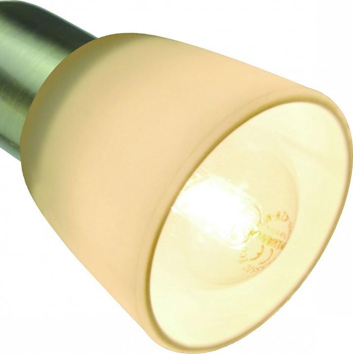 Спот Arte Lamp Lettura A7009AP-1AB