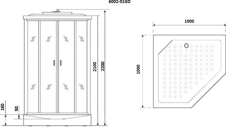 Душевая кабина Niagara Premium 60020114GD 100х100х220 стекло прозрачное