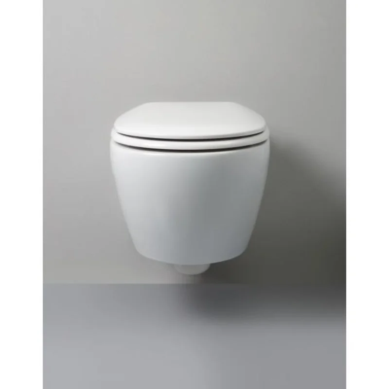 Унитаз подвесной White Ceramic Basic Circle W020304, безободковый, цвет белый матовый