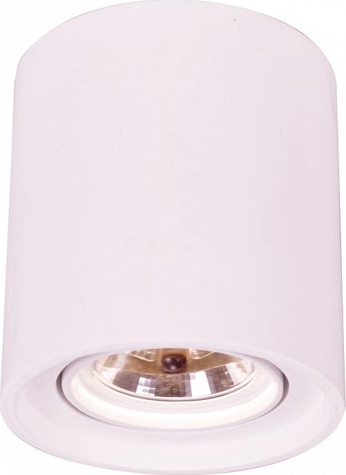 Накладные светильники Arte Lamp Tubo A9262PL-1WH