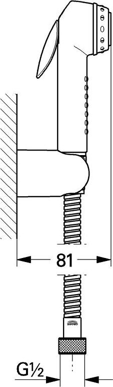 Гигиенический душ Grohe Trigger Spray 27812IL0