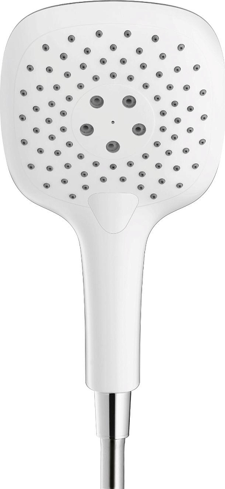 Душевая лейка Hansgrohe PuraVida 28557400