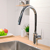 Смеситель для кухни Hansgrohe Focus 31815000