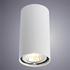 Потолочный светильник Arte Lamp A1516PL-1WH