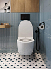 Комплект Duravit DuraSystem WD1011000000 с подвесным унитазом San More Fiaba SMT971901 с сиденьем микролифт