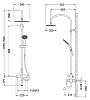 Душевая система Schein Leaf 48415/8032055 хром