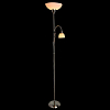 Торшер Arte Lamp Duetto A9569PN-2SS