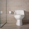 Унитаз-моноблок Kohler San Raphael Grande 8688T-S-0 с монтажным комплектом