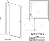 Душевая дверь в нишу Radaway Torrenta DWJ 110 стекло графит L