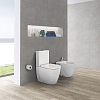 Унитаз-компакт Sanitana Coral NC444661aosta + гигиенический душ