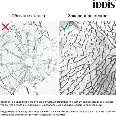 Душевая дверь в нишу 100x195 см Iddis Ray RAY6CP0i69, стекло прозрачное