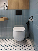 Комплект Duravit DuraSystem WD1011000000 с подвесным унитазом San More Fiaba SMT971901 с сиденьем микролифт