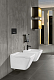 Подвесной унитаз Villeroy & Boch Finion 4664R0R1 alpin Ceramicplus
