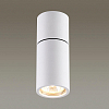 Потолочный светильник Odeon Light Duetta 3582/1C