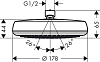 Верхний душ Hansgrohe Crometta 160 1jet 26577400