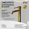 Смеситель для раковины Paini COX 78PJ205OLL черный