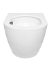 Комплект Duravit DuraSystem WD1014000000 с подвесным унитазом San More Fiaba SMT971903 с сиденьем микролифт