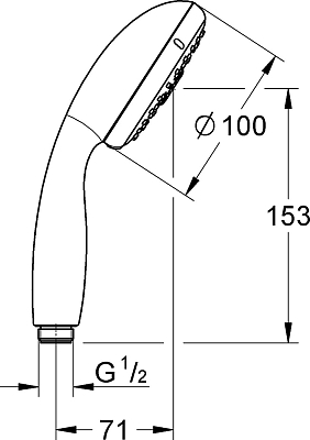 Душевая лейка Grohe New Tempesta 28421002
