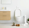 Подвесной унитаз Gustavsberg Hygienic Flush WWC 5G84HR01 безободковый