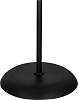 Торшер Arte Lamp Duetto A9569PN-2BK