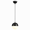 Подвесной светильник Odeon Light Pendant Pinga 4958/1