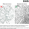 Душевая дверь в нишу 110x195 см Iddis Ray RAY6CP1i69, стекло прозрачное